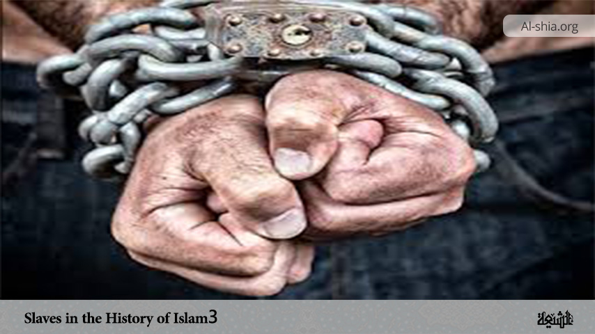 Slaves in the History of Islam 3