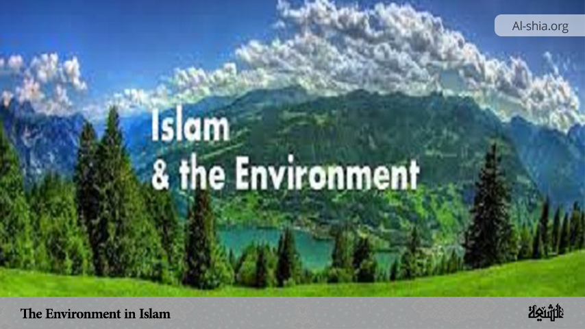 The Environment in Islam