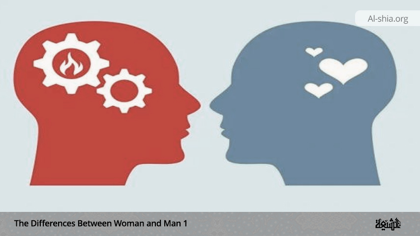 The Differences Between Man and Woman 1