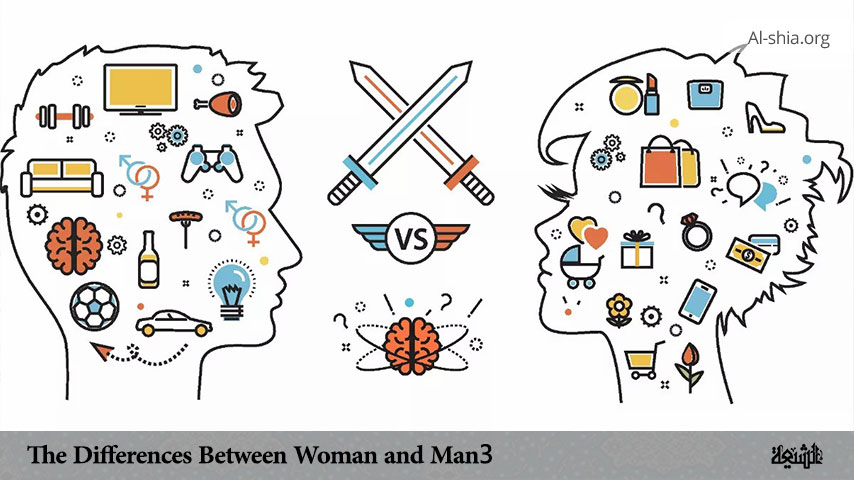 The Differences Between Woman and Man 3