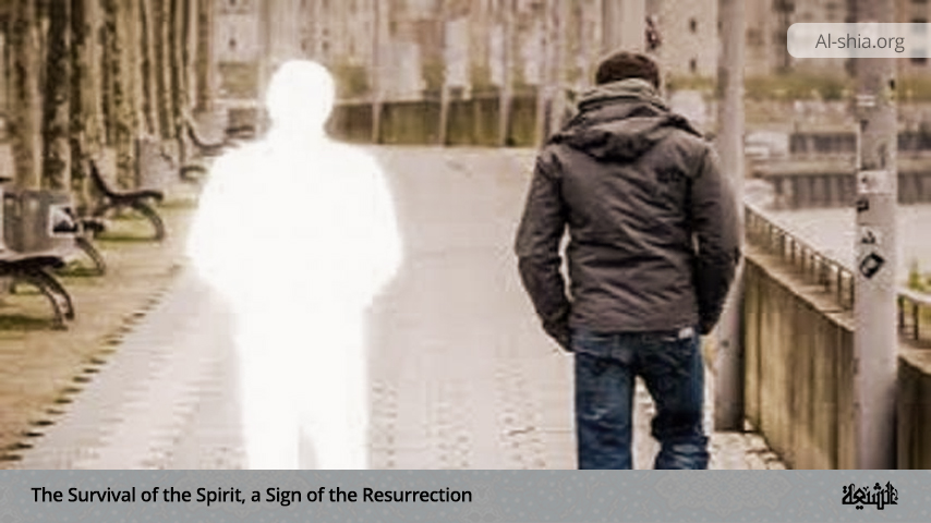 The Survival of the Spirit, a Sign of the Resurrection