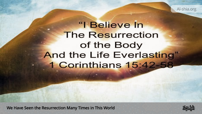 Evidences of the Resurrection in This World