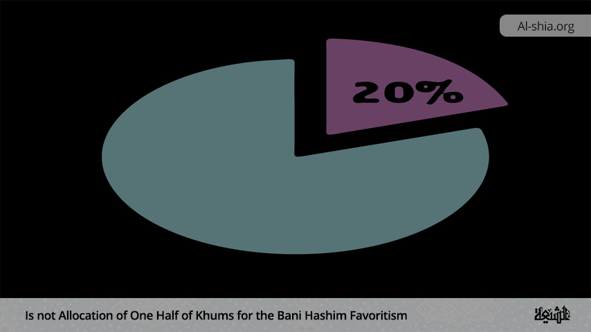 Is the Allocation of One-Half of Khums for Bani Hashim Favouritism?