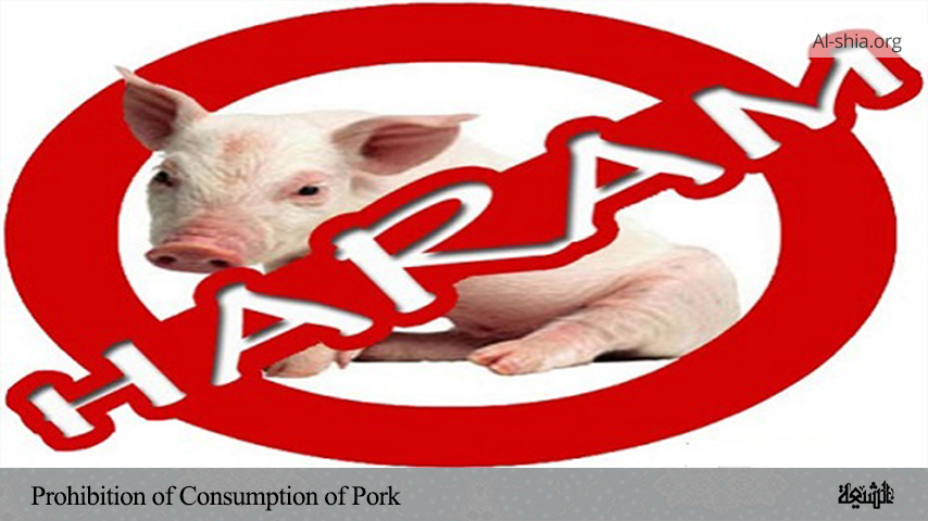 Prohibition of Consumption of Pork