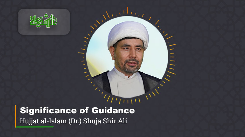 Significance of Guidance