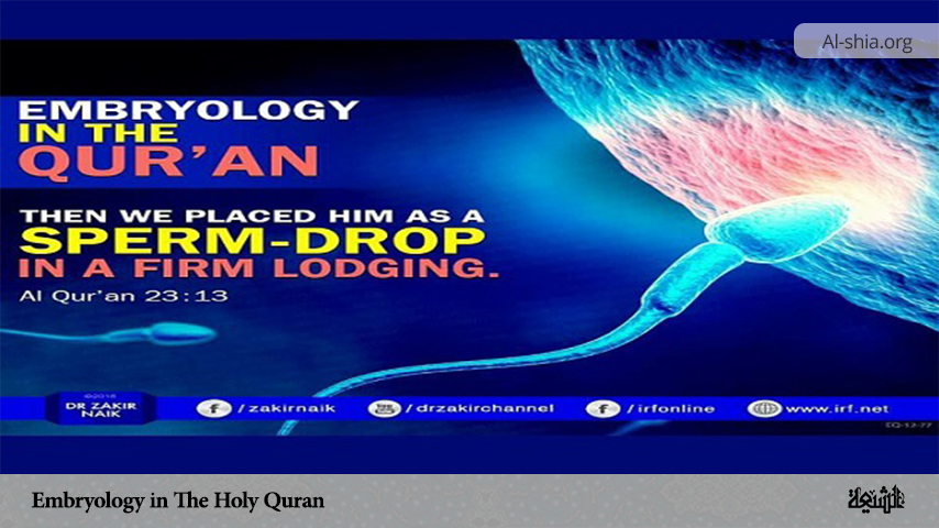 Embryology in The Holy Quran