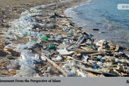 Environment from the Perspective of Islam