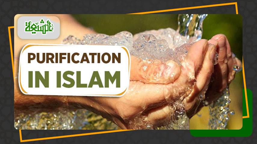 The Purifiers in Islam