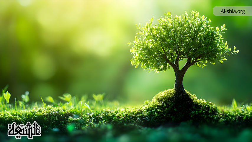 Human Duties Toward the Environment in the Quran and Hadith